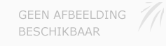 Afbeelding › Wassenberg Accountants en Adviseurs B.V.