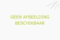 Afbeelding › Administration And Consultancy van der Voorden